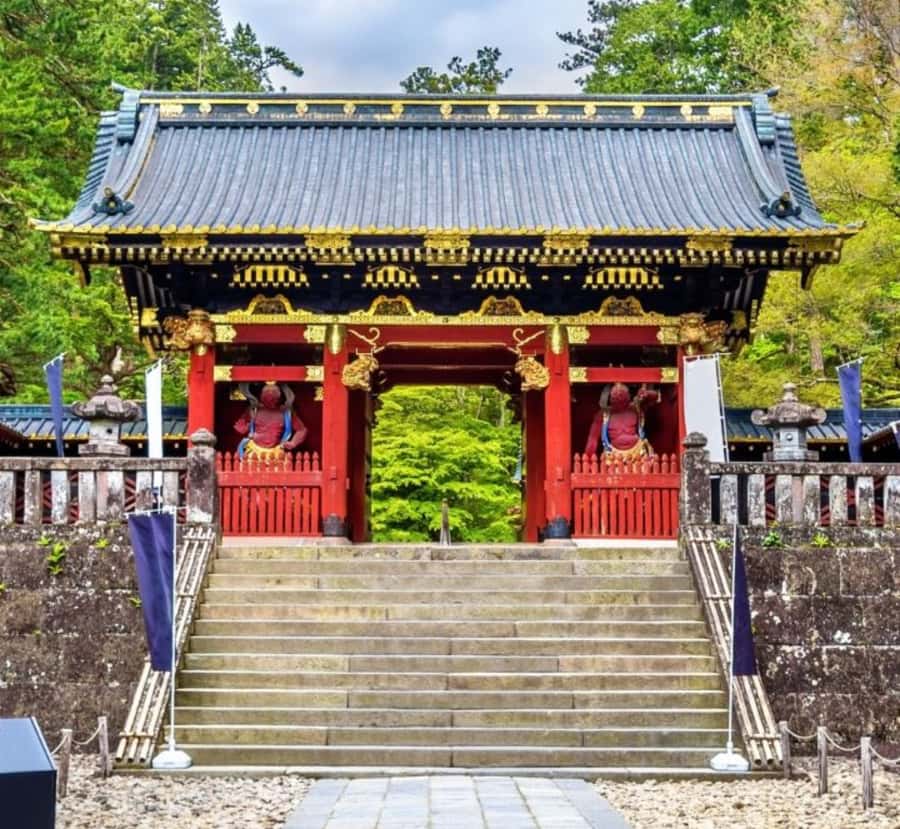 From Tokyo: Nikko World Heritage Customizable Private Tour - The Sum Up