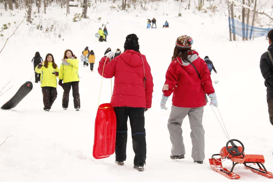 Sapporo: Snow Park, Snowmobile, and BBQ Experience - Exploring the Hokkaido Snow Wonderland