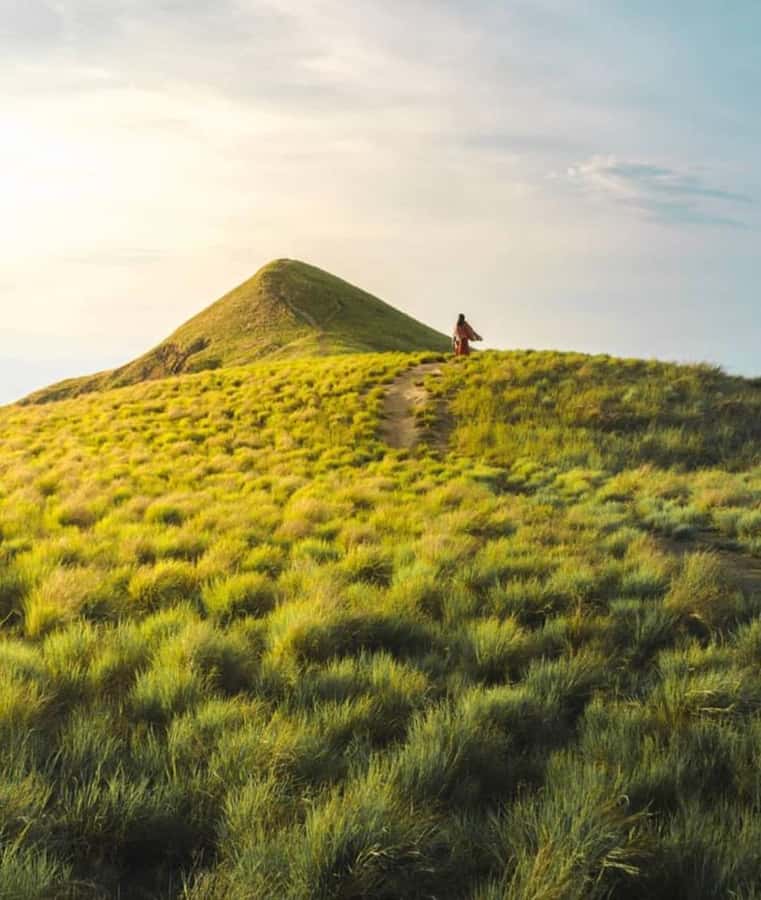 Sumbawa: Paserang and Kenawa Islands Snorkeling Day Trip - The Practicalities: Transport, Timing, and Group Size