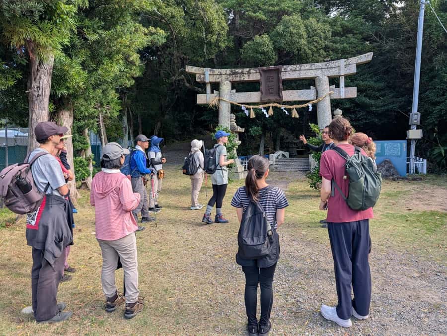 Kumano Kodo: Coastal Pilgrimage Tour with Hot Spring - Practical Details and Tips
