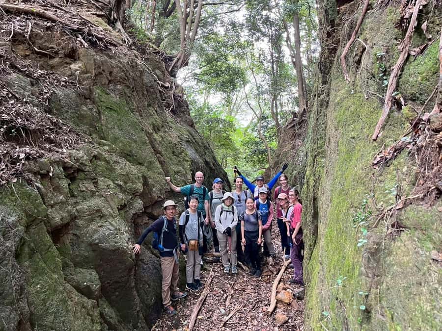 Kumano Kodo: Coastal Pilgrimage Tour with Hot Spring - Who Would Love This Tour?