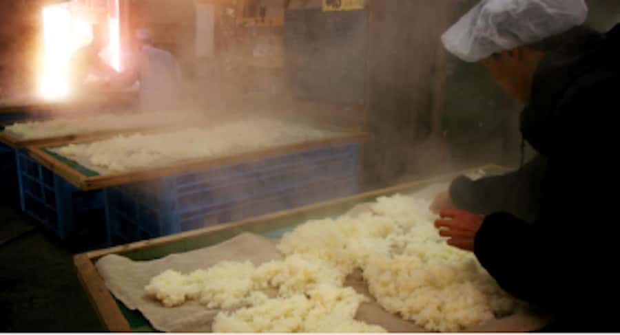 Miyagi: Hagino Sake Brewery Tour and Tasting - What Makes This Brewery Stand Out?