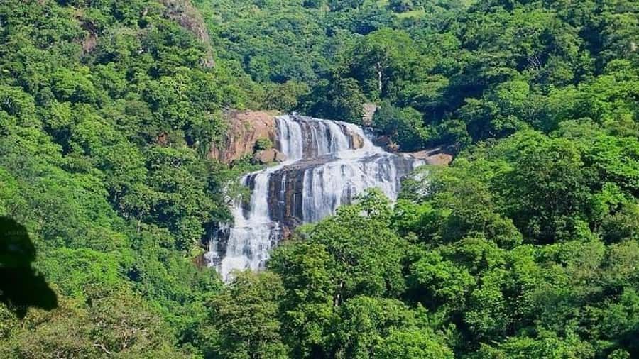Polonnaruwa: Waterfalls, Village, Vedda Tour & Kandy Drop - Practicalities and Tips