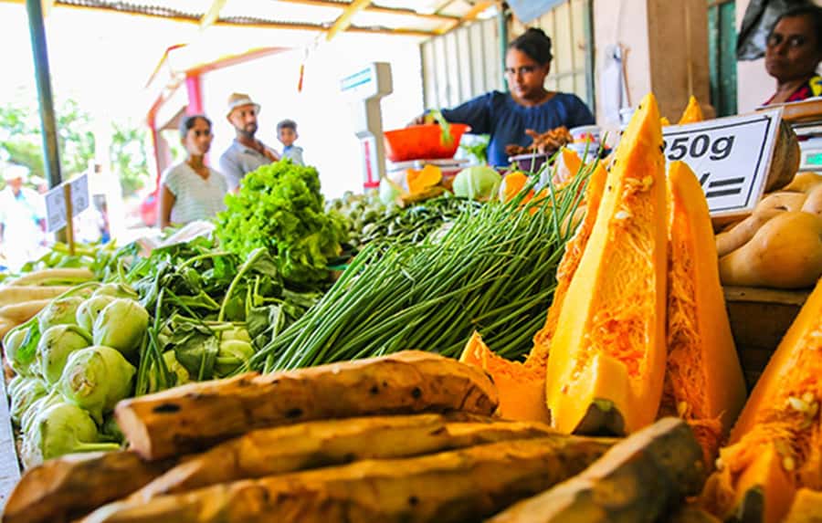 Golden Hour to Dinner: Udawalawe Cooking Experience - Practical Details and Considerations