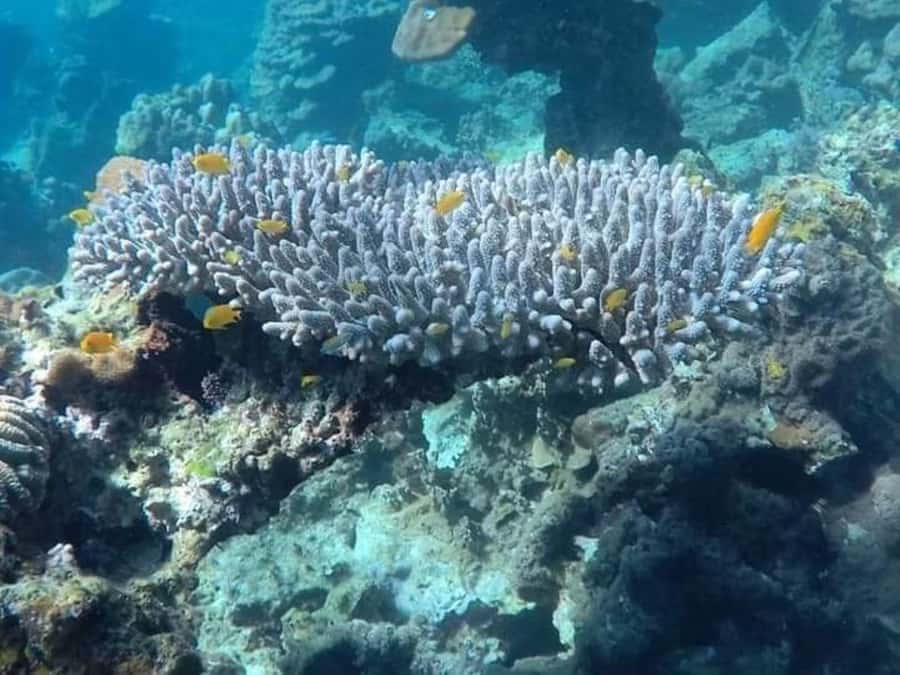 Koh Lanta: Options of Old Town, Mangrove, Kayaking or Island - Real Traveler Insights