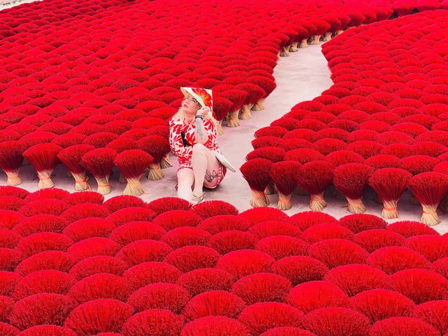 Hanoi: Hat, Incense Village or Tam Chuc World Biggest Pagoda - What Makes This Tour Stand Out?