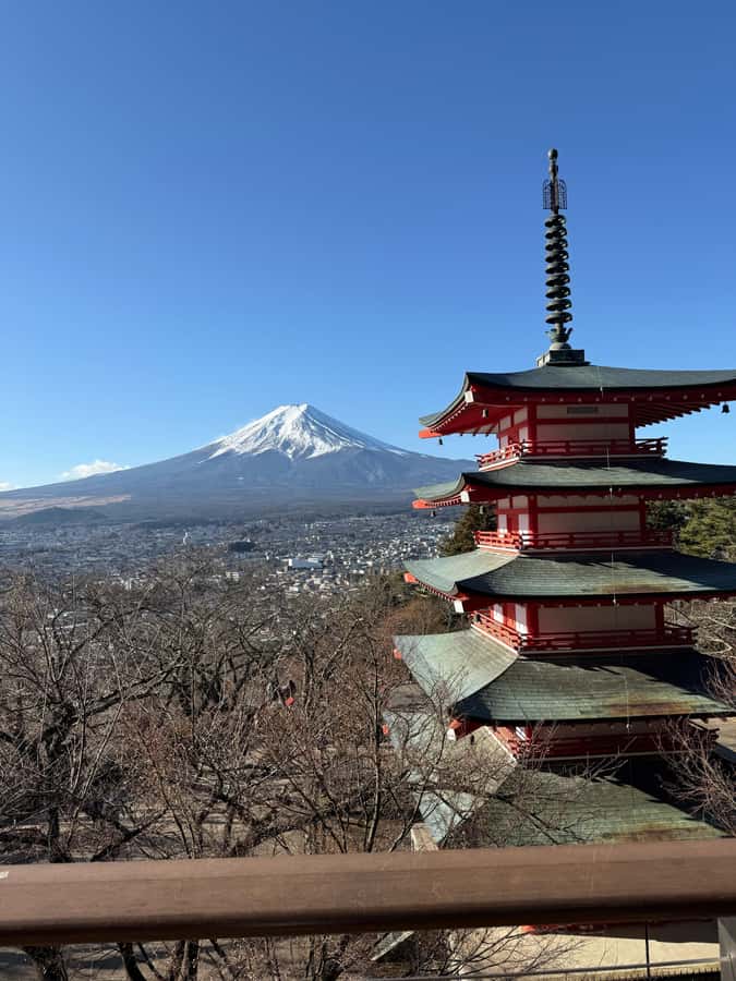 From Tokyo : Mount Fuji Private Tour with English Guide - Transportation and Comfort