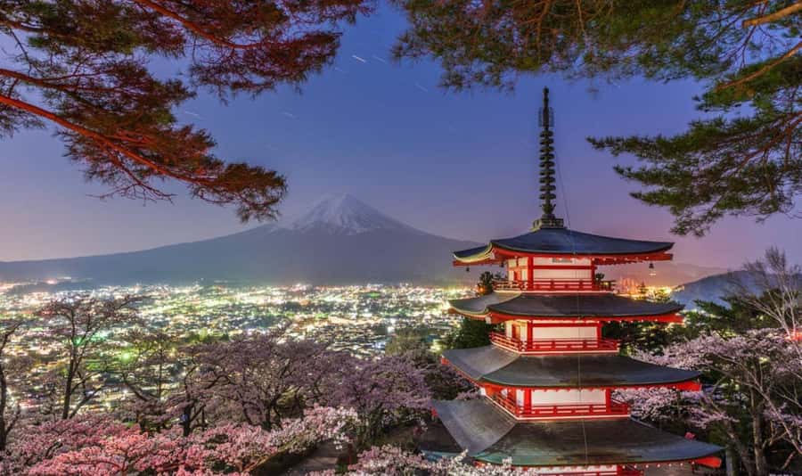 From Tokyo : Mount Fuji Private Tour with English Guide - Why Choose This Tour?