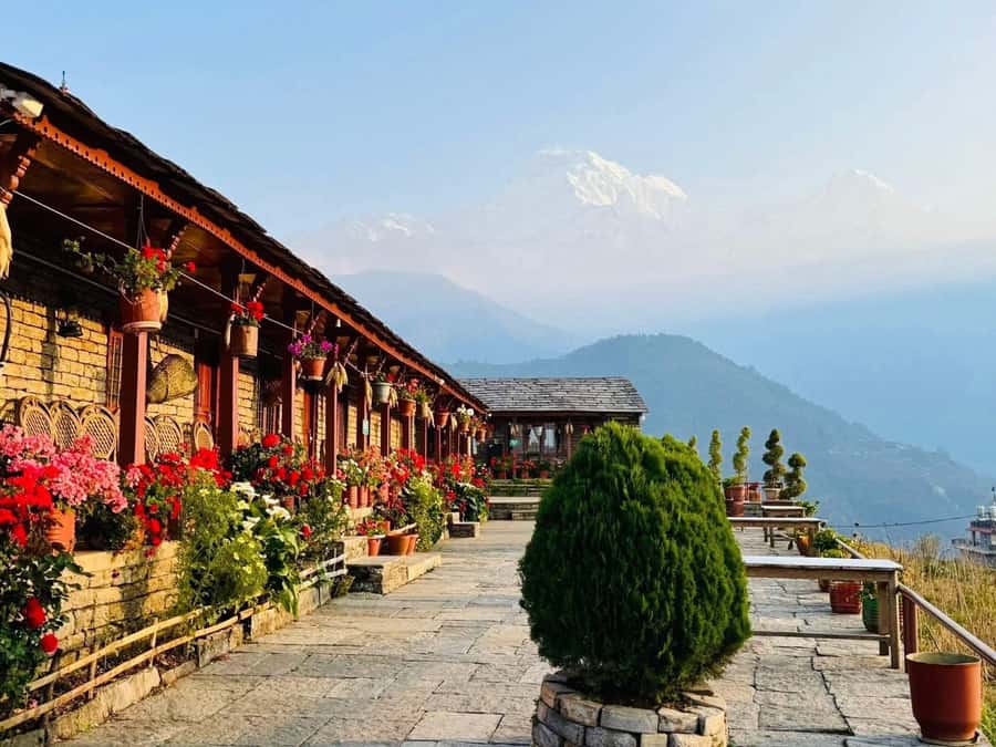 Pokhara: 5-Day Khopra Danda Trek with Community Lodges - Authentic Experiences & Insights from Travelers