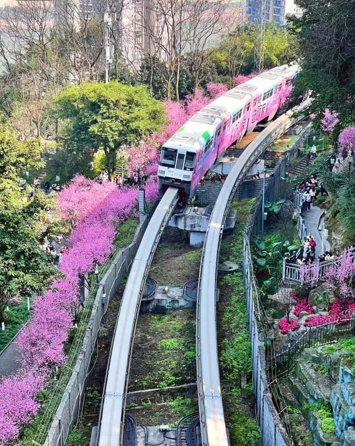 Chongqing: 1 Day Magic Mountain City Walking Tour - Final Thoughts