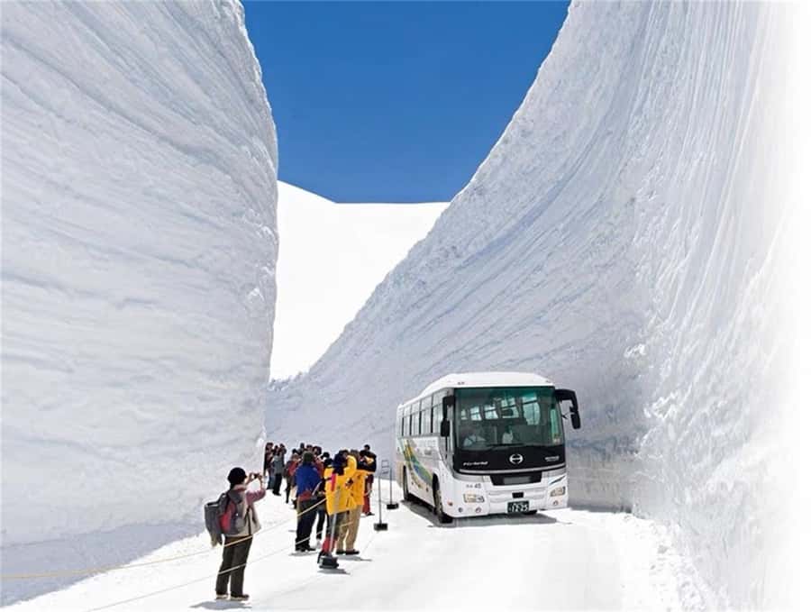 Tokyo: Kamikochi & Tateyama Kurobe Snow Wall 2-Day Tour - The Sum Up