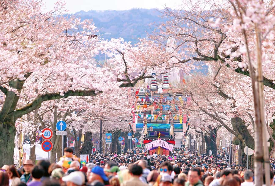Cherry Blossom Tunnel & Sea: A Spring Day Tour of Ibaraki - Good To Know