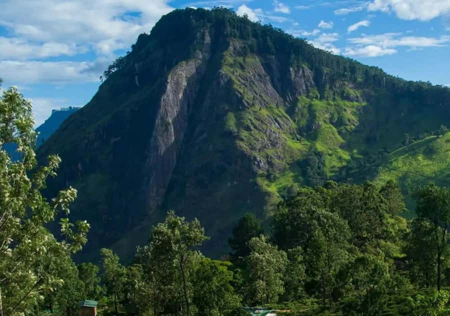 Pekoe Trail Stage 4 Guided Hike (Tawalantenne-Pundaluoya) - An Authentic Trek Through Sri Lanka’s Tea Country: Pekoe Trail Stage 4 Guided Hike