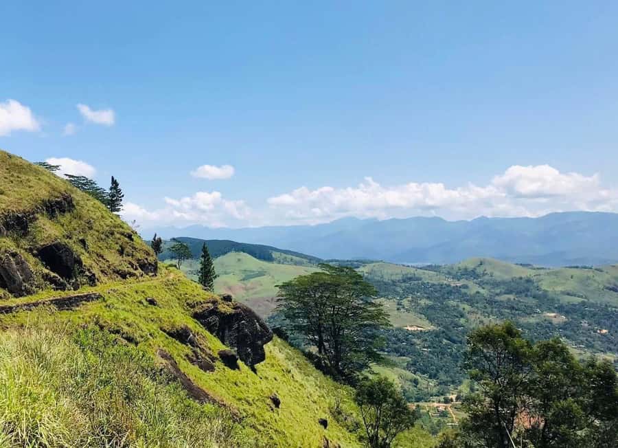 Pekoe Trail Stage 4 Guided Hike (Tawalantenne-Pundaluoya) - What to Expect on the Day