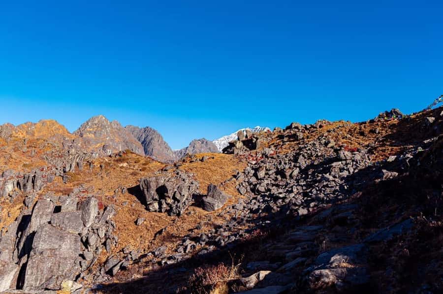 Kathmandu: 5-Day Panch Pokhari Trek with Guide & Meals - Who Would Love This Experience?