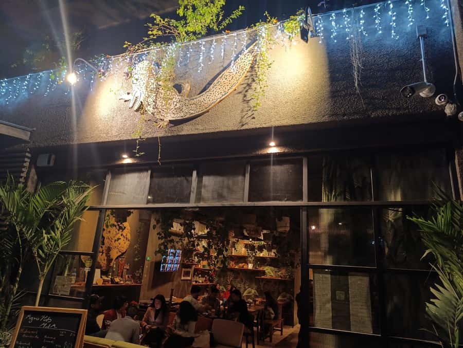 Mexico City: Roma and Condesa Craft Beer Tour - Who Should Consider This Tour?