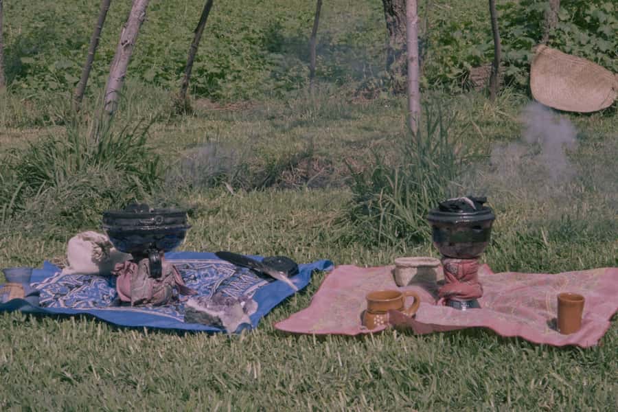 Mexico City: Temazcal Ceremony and Rapé Ceremony - The Journey to a Sacred Chinampa