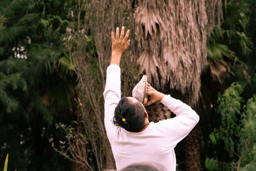Mexico City: Temazcal Ceremony and Rapé Ceremony - The Rapé Ceremony: Vocal and Spiritual Activation