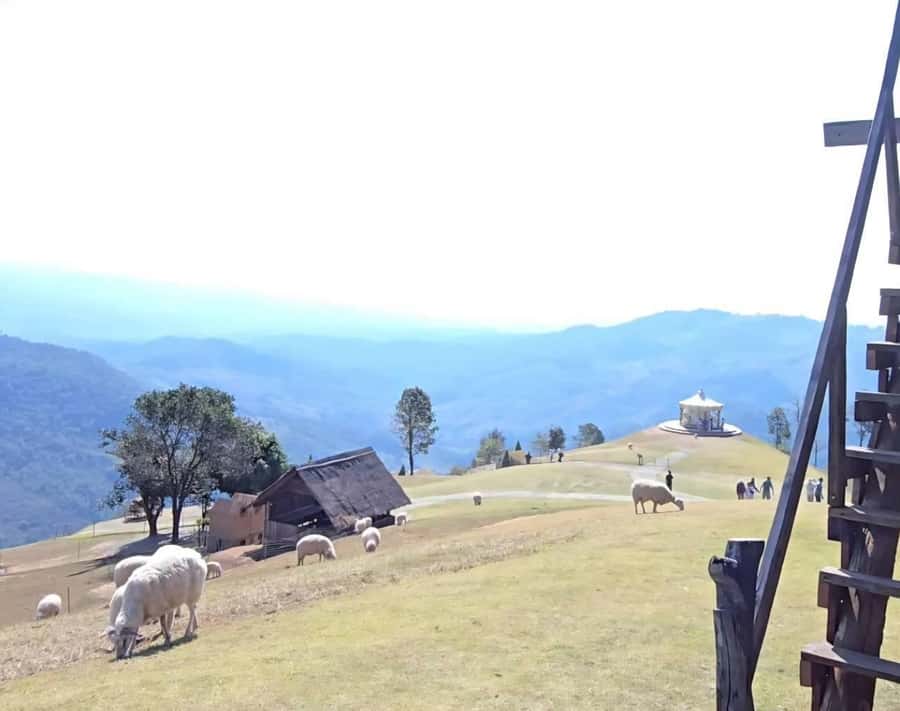 Chiang Rai: White Temple, Doi Chang, & Hot Springs Tour - Discovering Chiang Rai’s Must-See Spots