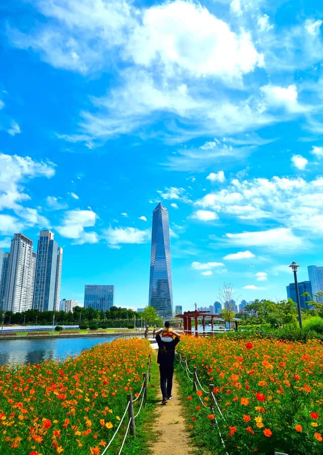 Cinematic Seoul: Private Photo Journey with a Pro - Good To Know