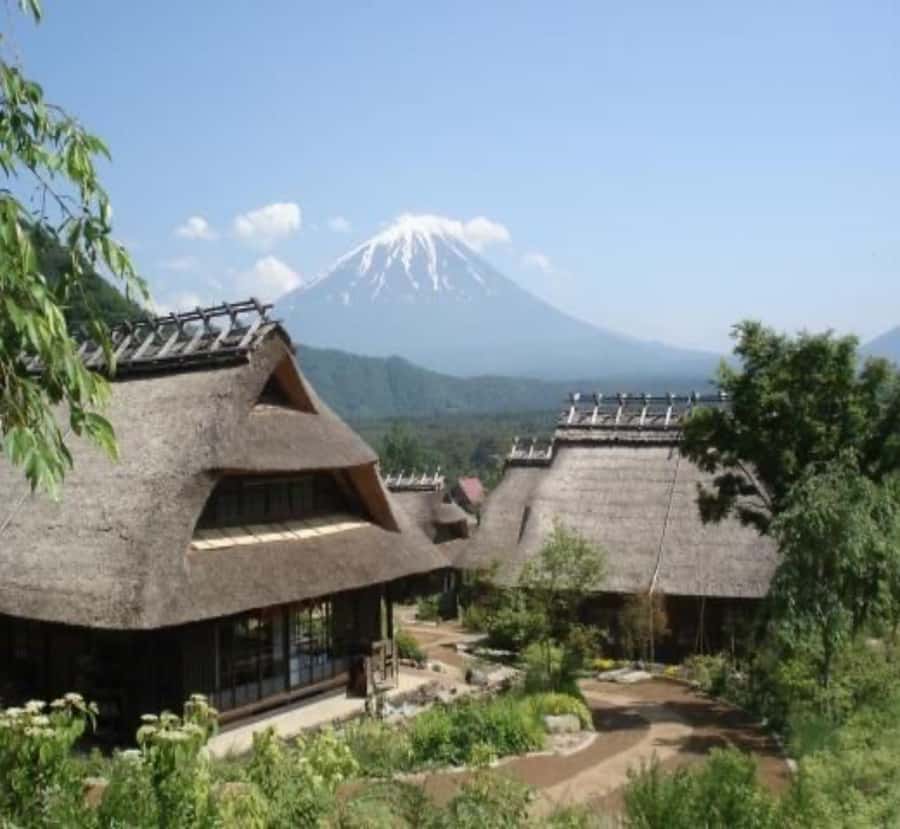 Nagoya: Mount Fuji Private Full-Day Scenic Tour With Guide - Exploring the Nagoya: Mount Fuji Private Full-Day Scenic Tour With Guide
