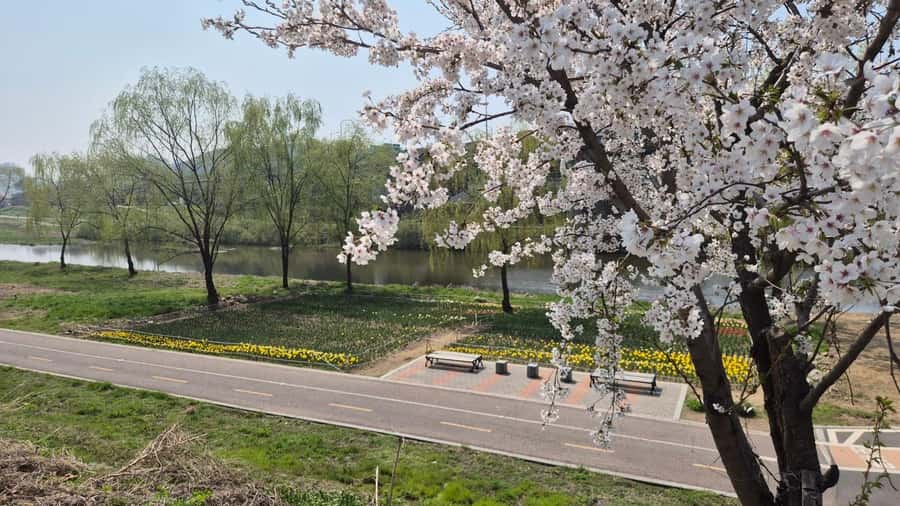 Seoul Riverside Walk and Korean-Style Picnic Experience - Riverside Walk (10:00 AM – 12:00 PM)