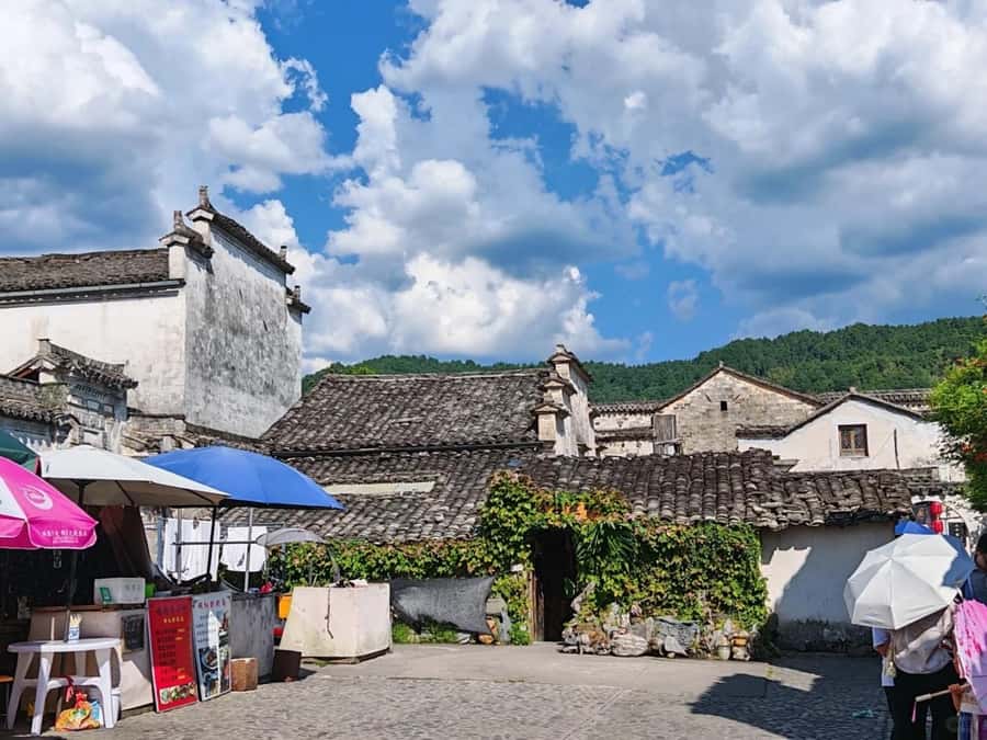 Huangshan Huizhou Ancient Villages 1-Day Tour - Who Should Consider This Tour?
