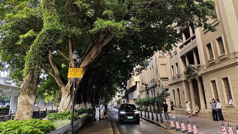 Guangzhou: Cantonese Morning Tea and Culture Walking Tour - Frequently Asked Questions