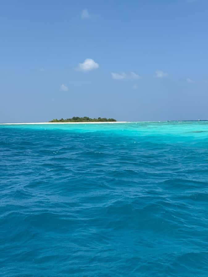 Maldives: Male' to Naifaru Island 5-Day Guided Tour - A Detailed Look at the Naifaru Island Tour