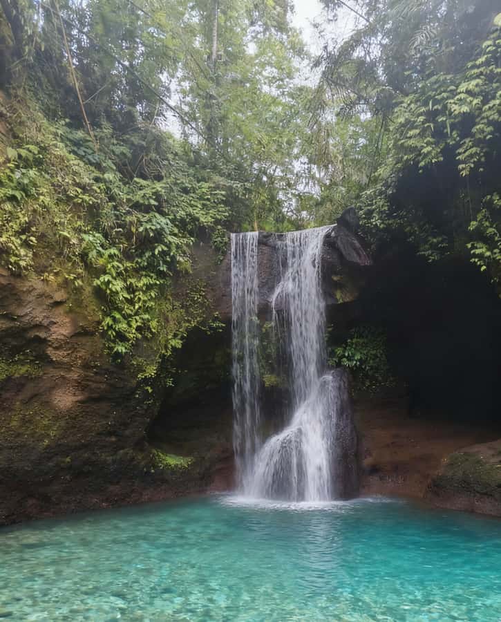 Balinese Holy Water Ritual with Nature Serenity - Practical Details and Tips