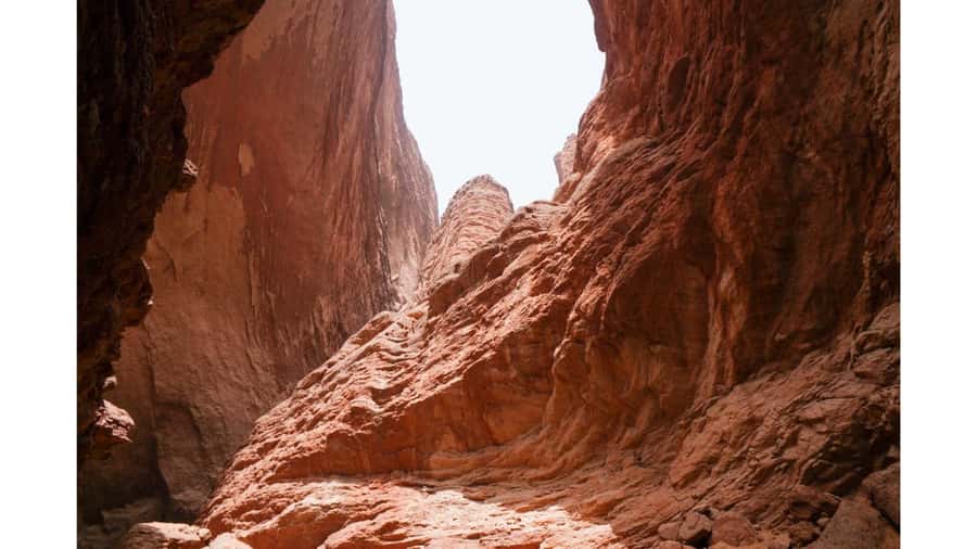 Las Vegas: Red Rock Canyon Private Tour - The Experience in Detail