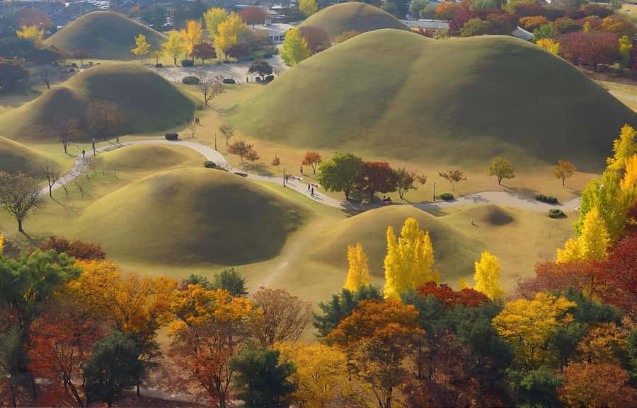 Busan: Gyeongju UNESCO Customizable Private Day & Night Tour - Final Thoughts: Is It Worth It?