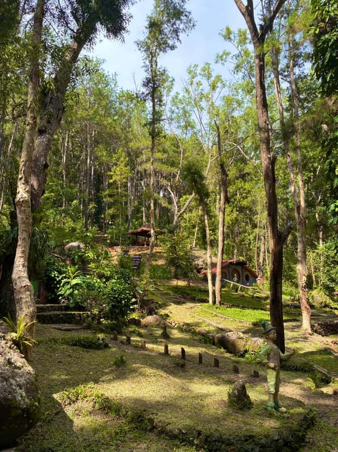 Yogyakarta: Seribu Batu Songgo Langit Sunrise Tour - Pricing and Value