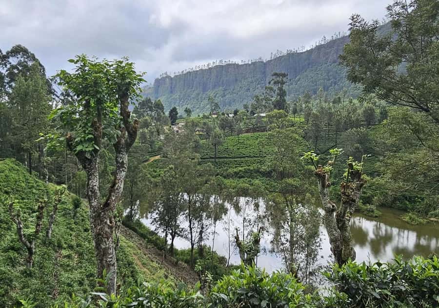 Pekoe Trail Stage 5 Guided Hike (Pundaluoya-Watagoda) - Good To Know