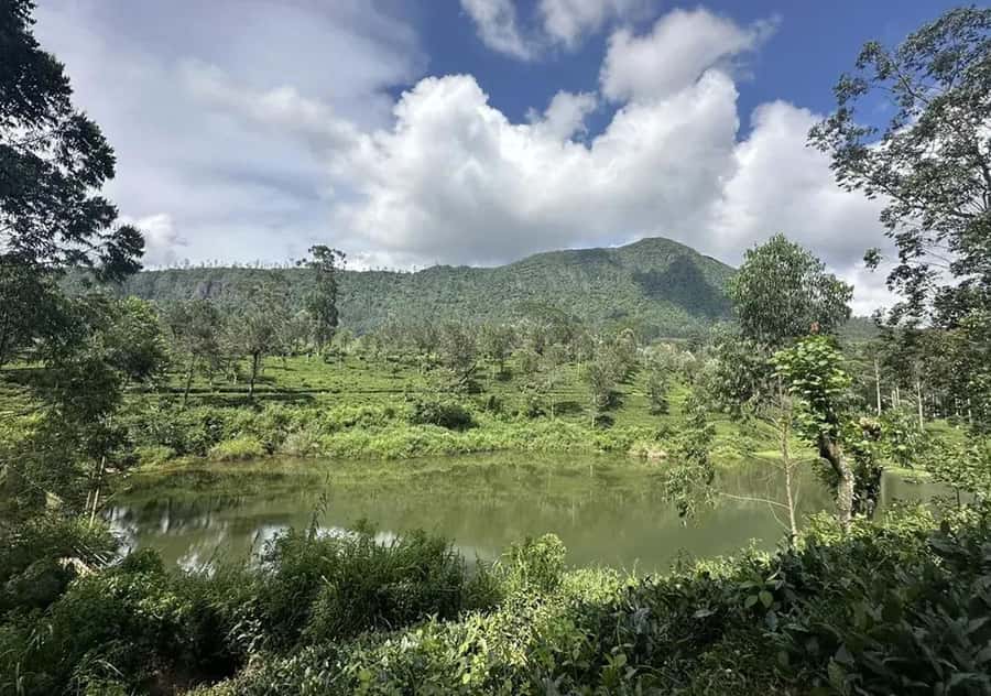 Pekoe Trail Stage 5 Guided Hike (Pundaluoya-Watagoda) - Exploring the Pekoe Trail Stage 5 Guided Hike (Pundaluoya-Watagoda)