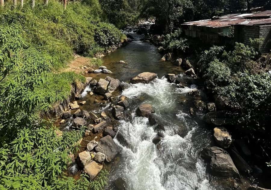 Pekoe Trail Stage 5 Guided Hike (Pundaluoya-Watagoda) - The Itinerary Breakdown