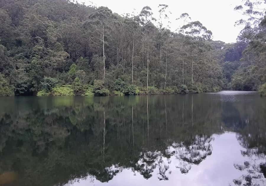 Pekoe Trail Stage 6 Guided Hike (Watagoda-Kotagala) - What to Bring & Practical Tips