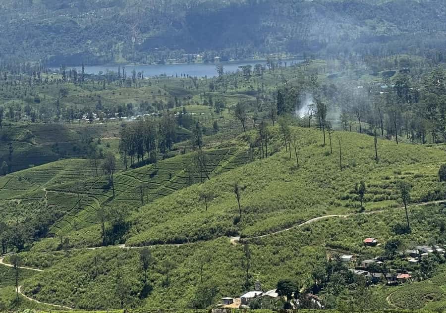 Pekoe Trail Stage 8 Guided Hike (Norwood-Bogawantalawa) - Transportation, Timing, and Group Dynamics