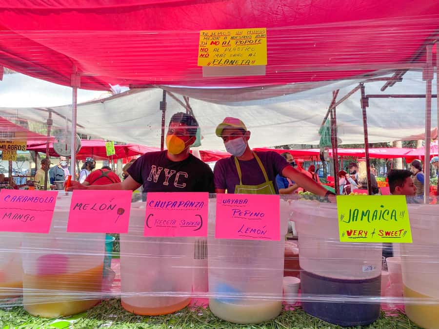 Mexico City: Street Food and Exotic Fruits Market Tour - How the Experience Feels