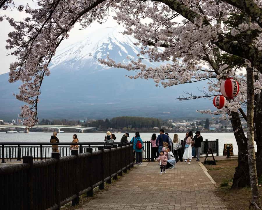 From Tokyo Mt Fuji Hakone Private Customizable Day By Guide - Who Would Love This Tour?