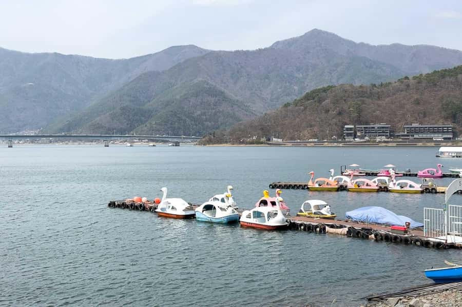 From Tokyo Mt Fuji Hakone Private Customizable Day By Guide - Discovering Hakone and Mt. Fuji on a Day Trip