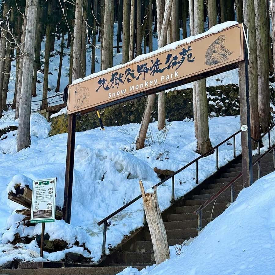 Tokyo & Nagano: Snow Monkey Sightseeing Private Guided Tour - Key Points
