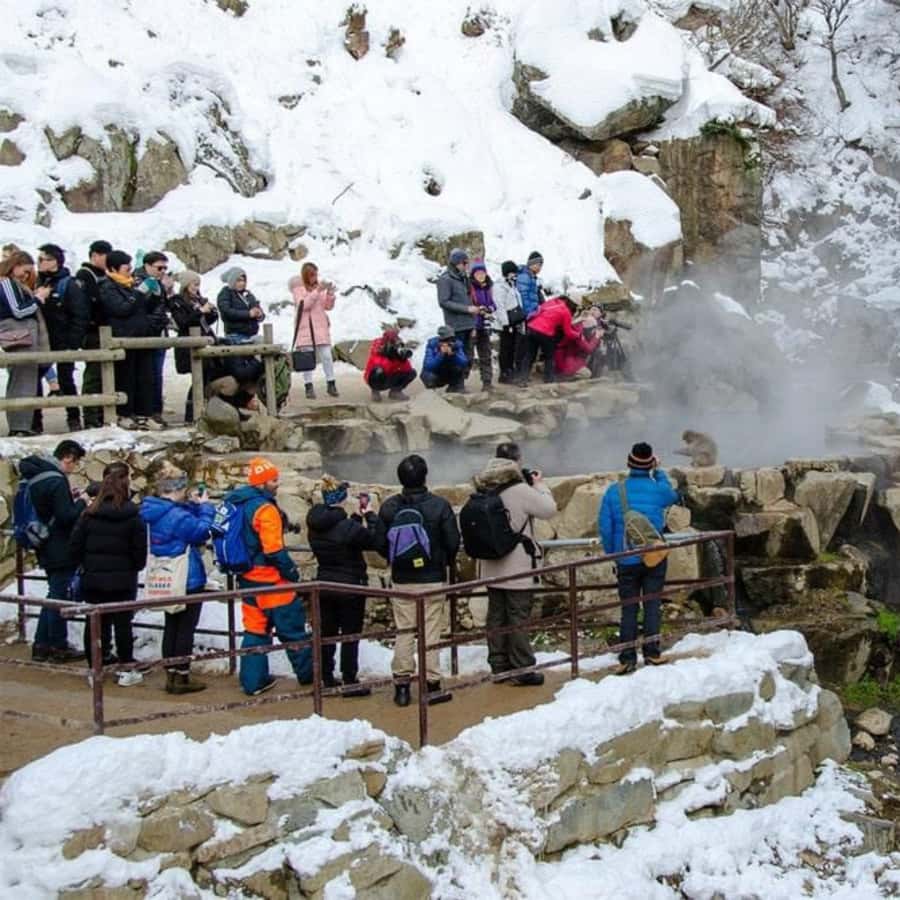 Tokyo & Nagano: Snow Monkey Sightseeing Private Guided Tour - FAQ