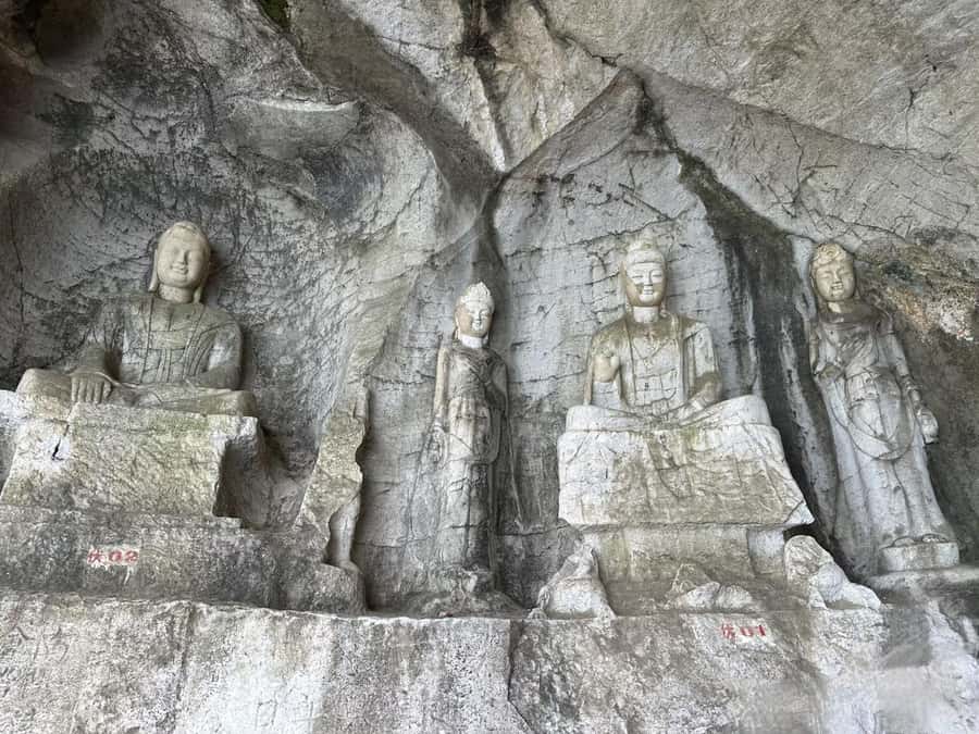 Guilin: Guihai Stele Forest, Fubo Mountain & Tea Tour - Introduction: What to Expect from the Guilin Guihai Tour