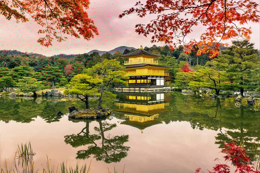 Kyoto/Osaka: Nijo Castle, Arashiyama, Kinkakuji Day Tour - Who Should Book This Tour?
