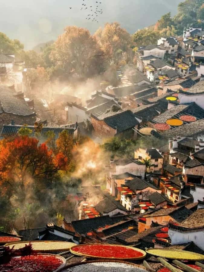 Huangshan: 5-Day Wuyuan, Jingdezhen, & Shangrao Tour - The Experience: What It Means for You