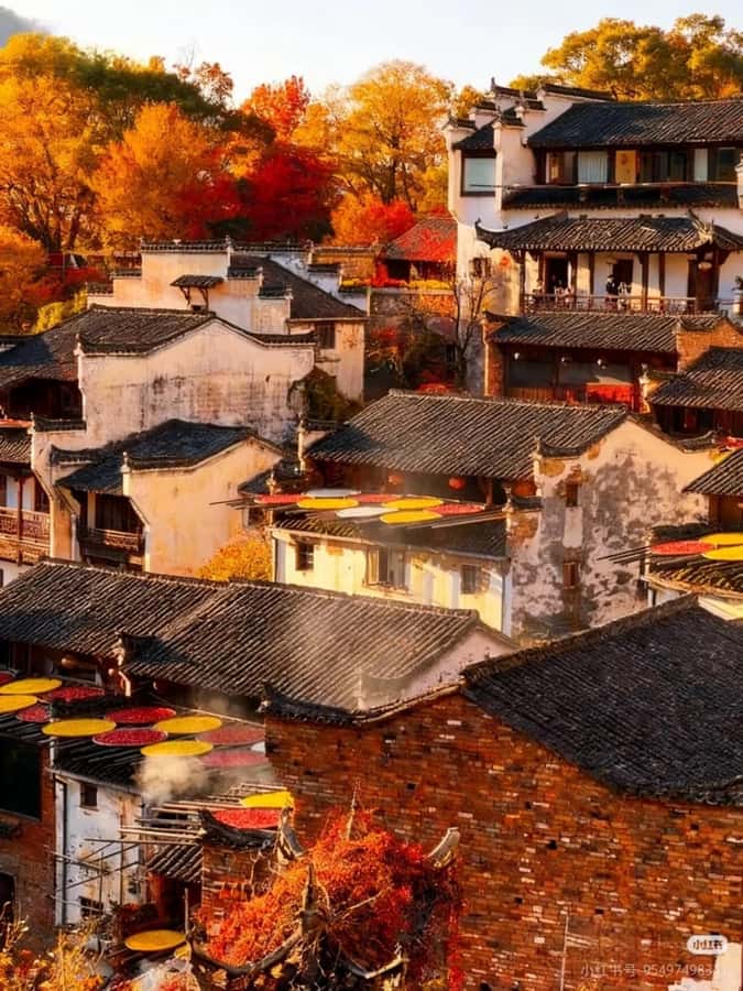 Huangshan: 5-Day Wuyuan, Jingdezhen, & Shangrao Tour - Transportation, Guides, and Booking