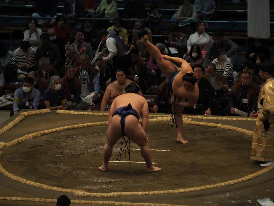 Osaka: Sumo Tournament with Guide & Assigned Reserved Seat - Why This Tour Works for Different Types of Travelers