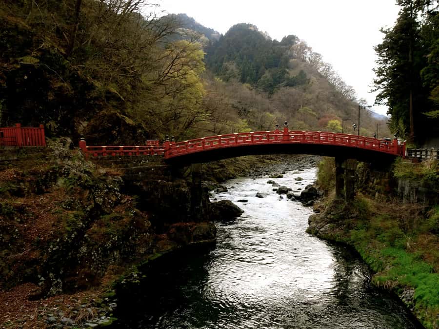Tokyo: Nikko Private Tour with Lunch and Wine Tasting - Good To Know