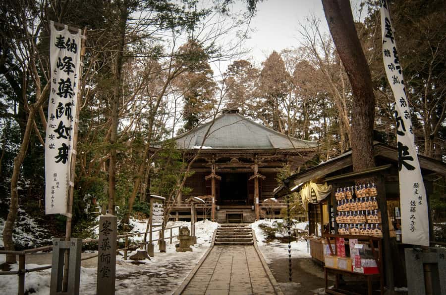 Tokyo: Nikko Private Tour with Lunch and Wine Tasting - The Sum Up: Who Should Consider This Tour?